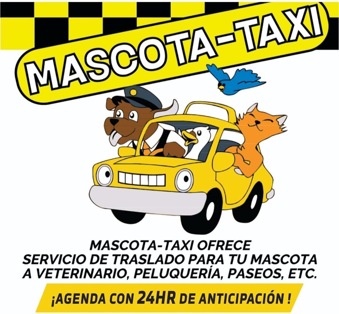 Pet service